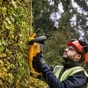 Gyvatvorių žirklės DeWalt DCMHT564N; 55 cm; 18 V (be akumuliatoriaus ir pakrovėjo)