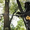 Dewalt przedłużka 2700 mm do dcmas5713