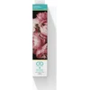 Haft diamentowy Diamond Dotz Deimantinė mozaika Vintage Roses 51x39cm DQ9020