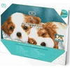 DIAMOND DOTZ Deimantinis siuvinėjimas Diamond Dotz Diamond mozaika Little Champs Du šuniukai 43x33cm DQK8014