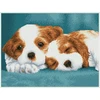 DIAMOND DOTZ Deimantinis siuvinėjimas Diamond Dotz Diamond mozaika Little Champs Du šuniukai 43x33cm DQK8014