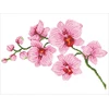 DIAMOND DOTZ Deimantinis siuvinėjimas Diamond Dotz Orchid 49x39cm DD6034