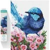 DIAMOND DOTZ Deimantinis siuvinėjimas Diamond Dotz Deimantinė mozaika Mėlynas paukštis gėlėse Splendid Fairy Wren 35x43cm DQ10023