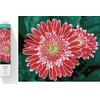 DIAMOND DOTZ Haft diamentowy Deimantinė mozaika Gerbera rožinė 58x48cm DQ10001