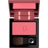 Diego Dalla Palma, Diego Dalla Palma, Blush Compact Powder, 22, 5 g