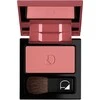 Diego Dalla Palma, Diego Dalla Palma, Blush Compact Powder, 21, 5 g
