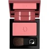 Diego Dalla Palma, Diego Dalla Palma, Blush Compact Powder, 24, 5 g