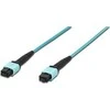 Digitus MPO fiber- optinis laikiklis - MPO, 50 / 125, OM3, 1m (DK- 2566- 30 / 3)