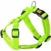 Dingo DINGO ENERGY GUARD DIRŽAI 2.0/38-70cm ŽALI