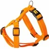 Dingo DINGO ENERGY GUARD DIRŽAI 2.0/38-70cm ORANŽINĖ