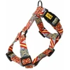 Dingo Petrių pakinktai Guard City Spain M 3,0x38-70cm (95354)