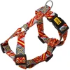 Dingo Pavadėlis Guard City Spain S 2,0x24-45cm (95353)