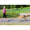 Dingo virvė iš juostos su amortizatoriumi ir rankena 170 cm - 14695