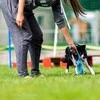 Dingo žaislas šuniui sztuczne futro + guminė rankena