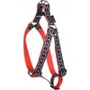 Dino DINO DIRŽŲ REGULIAVIMO JUOSTA IVO 20mm GĖLĖ, ilgis 40-60cm