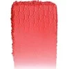Dior Sukulentiniai Milteliai Compact N015