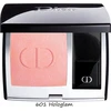Skaistalai DIOR DIORSKIN ROUGE MATTE COLORETE Nº601