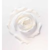 Christian Dior Prestige Light-In-Baltas švytėjimo suteikiantis serumas veidui, 30 ml
