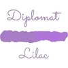 Diplomat 30 ml stiklinis rašalas