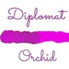 Diplomat Domo Octopus 30 ml stiklinis rausvas rašalas