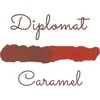 Diplomat Domo Octopus 30 ml stiklinis rudas rašalas