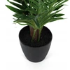 Dirbtinė palmė NOVA, Ø 50 x 85 cm