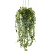Dirbtinis kabantis augalas SENECIO, 60 cm
