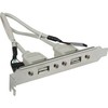 Digitus ASSMANN USB lizdo laikiklio laidas, 2x tipo A-2x5 kontaktų IDC, F/F, 0,25 m, USB 2.0 suderinamas, AK-300301-002-E
