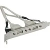 Digitus ASSMANN USB lizdo laikiklio laidas, 2x tipo A-2x5 kontaktų IDC, F/F, 0,25 m, USB 2.0 suderinamas, AK-300301-002-E