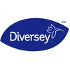 Diversey 101105987 - R7 valymo pienelis Kremas Cleaner 0,5 l