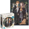 Dodo Dėlionė „Haris Poteris - Hermiona ir Ronas“ 300 detalių dėlionė „Wizards“