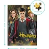 Dodo dėlionė Harry Potter Hogwarts (250 det.)