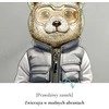 Nimmy krepšys ant rėmo pilkos spalvos Crossbody Cool&amp;Cute 2.0 Bear