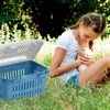 Stefanplast Transportavimo narvas Mini Gulliver 40x30x24cm balta mėlyna