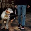 DOGGY VILLAGE Signal pavadėlis MT7122 dark žalias - LED dog pavadėlis - 1.2 m