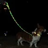 DOGGY VILLAGE Signal pavadėlis MT7122 dark žalias - LED dog pavadėlis - 1.2 m