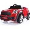 DOLU Araba automobilio įjungimo/išjungimo akumuliatorius 12V RC 8191 81919
