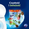TOILET CLEANER DOMESTOS PINE 4X55G