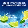 WC valiklis DOMESTOS Citrus, 3 x 50g