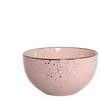 Domoletti 13.8CM 636ML BOWL WITH SPECKLE Rožinis