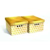 Domoletti FOLDABLE CART BOX33X25X18CM 2 GOLD DOTS