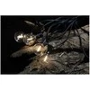 Pakabinamas šviestuvas Domoletti GARLAND SOLAR 10LED 8M 1.12W RGB IP44
