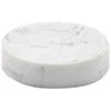 Domoletti POLYRESIN SOAP DISH. SIZE/9.4X9.4X2CM