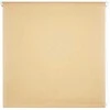 Domoletti ROLLER BLIND SHANTUNG 877 60X170