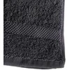 Rankšluostis Domoletti TOWEL TERRY 747 PILKA 50X80