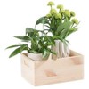 Domoletti WOODEN BOX33X25X15.5 508400