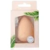 Donegal Blending Sponge