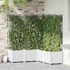 Sodo vazonas 5 vnt. Balta 120 x 120 x 143 cm PP
