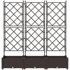 Sodo vazonas 3 pcs Ruda 120 x 40 x 125,5 cm Plienas