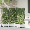 Sodo vazonas 5 vnt. Balta 120 x 120 x 126 cm PP